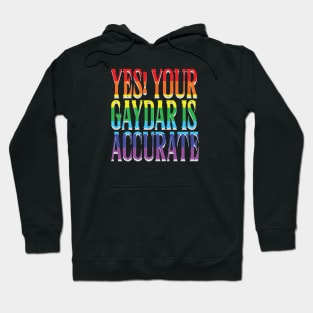 Yes Your Gaydar is accurate! Hoodie